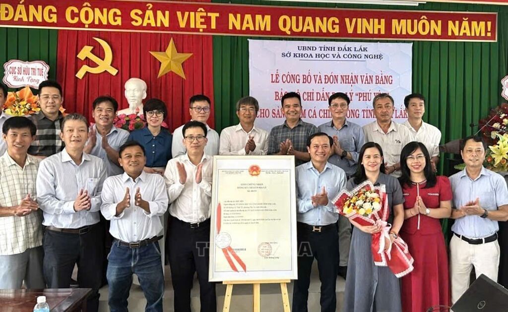 Nâng tầm thương hiệu cá chình bông Phú Yên